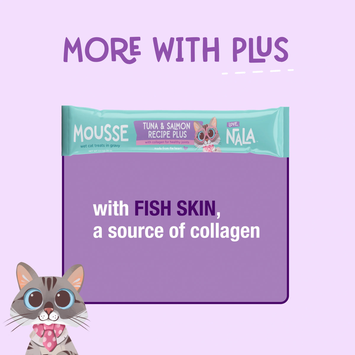 Tuna & Salmon Recipe Plus Cat Treats, Pack of 4