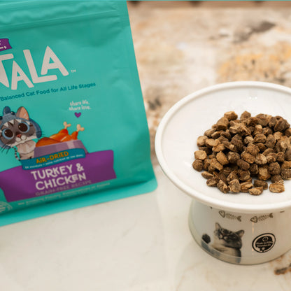 Turkey & Chicken Grain Free Recipe Air-Dried Adult Cat Food 1lb bag