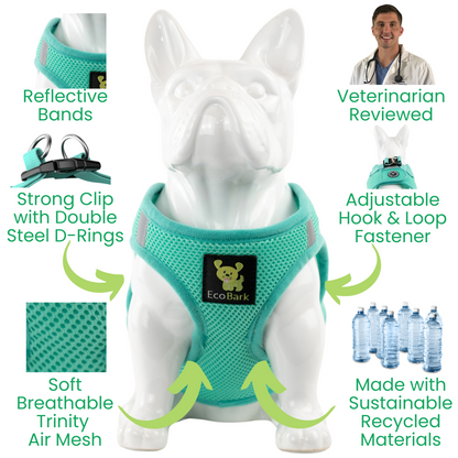 EcoBark Step In Dog Harness - XXXS to Medium Breeds- Reflective Soft Mesh Harness for Teacup, Small Dogs and Puppies / Mint Turquoise
