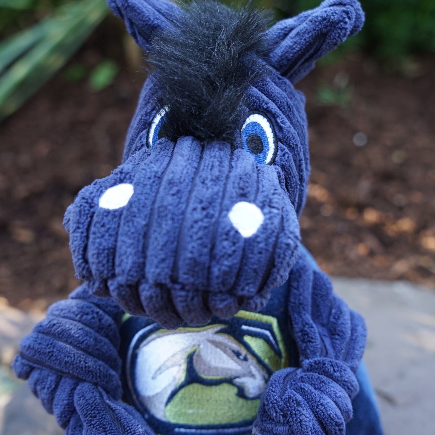 NCAA University of California, Davis, Gunrock the Mustang Knottie® Plush Dog Toy