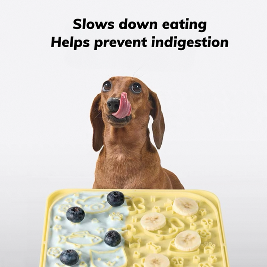Slow Feeder Lick Mat
