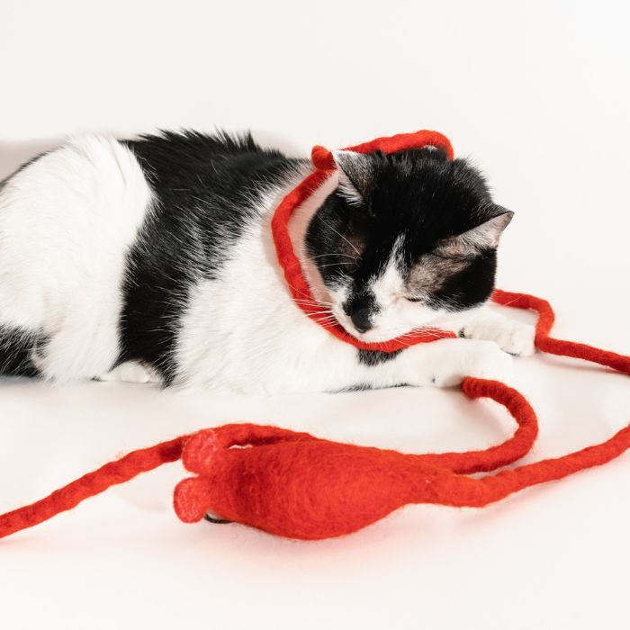 Catch a Mouse by the Tail - Wool Cat Toy