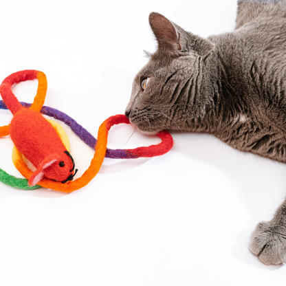 Catch a Mouse by the Tail - Wool Cat Toy