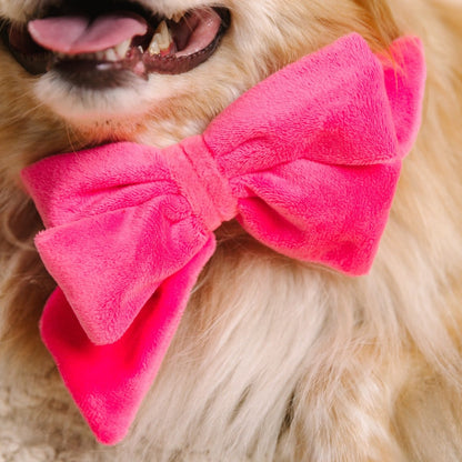 Valentina Dog Babe Bow