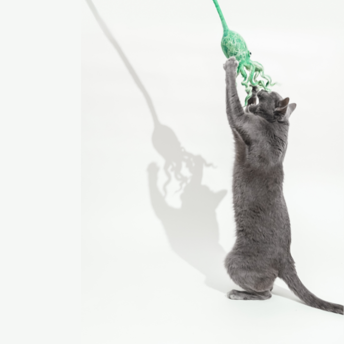 Ink Floyd - A Wool Octopus Toy for Cats