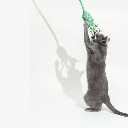 Ink Floyd - A Wool Octopus Toy for Cats