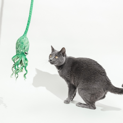 Ink Floyd - A Wool Octopus Toy for Cats