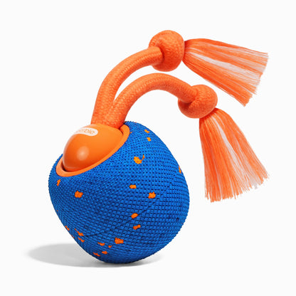 Wicked Ball Rolly