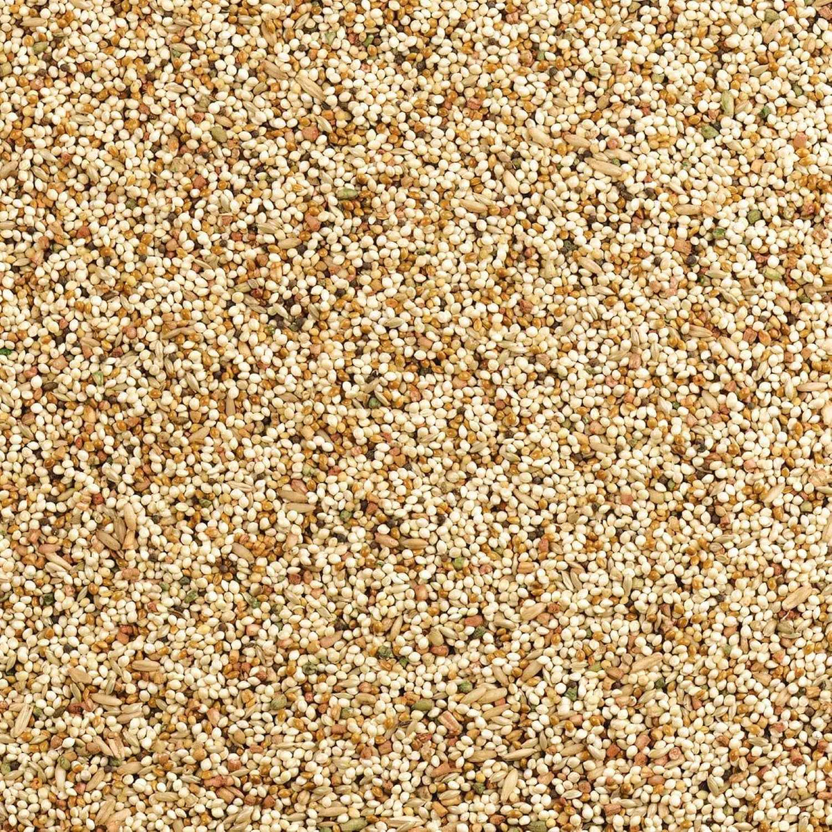 Wild Harvest Daily Blend Bird Food for Parakeet, Canary & Finch