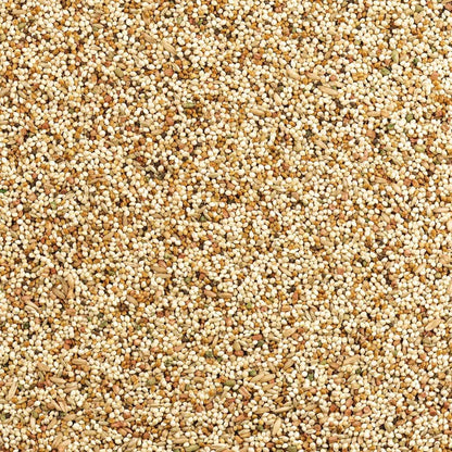 Wild Harvest Daily Blend Bird Food for Parakeet, Canary & Finch