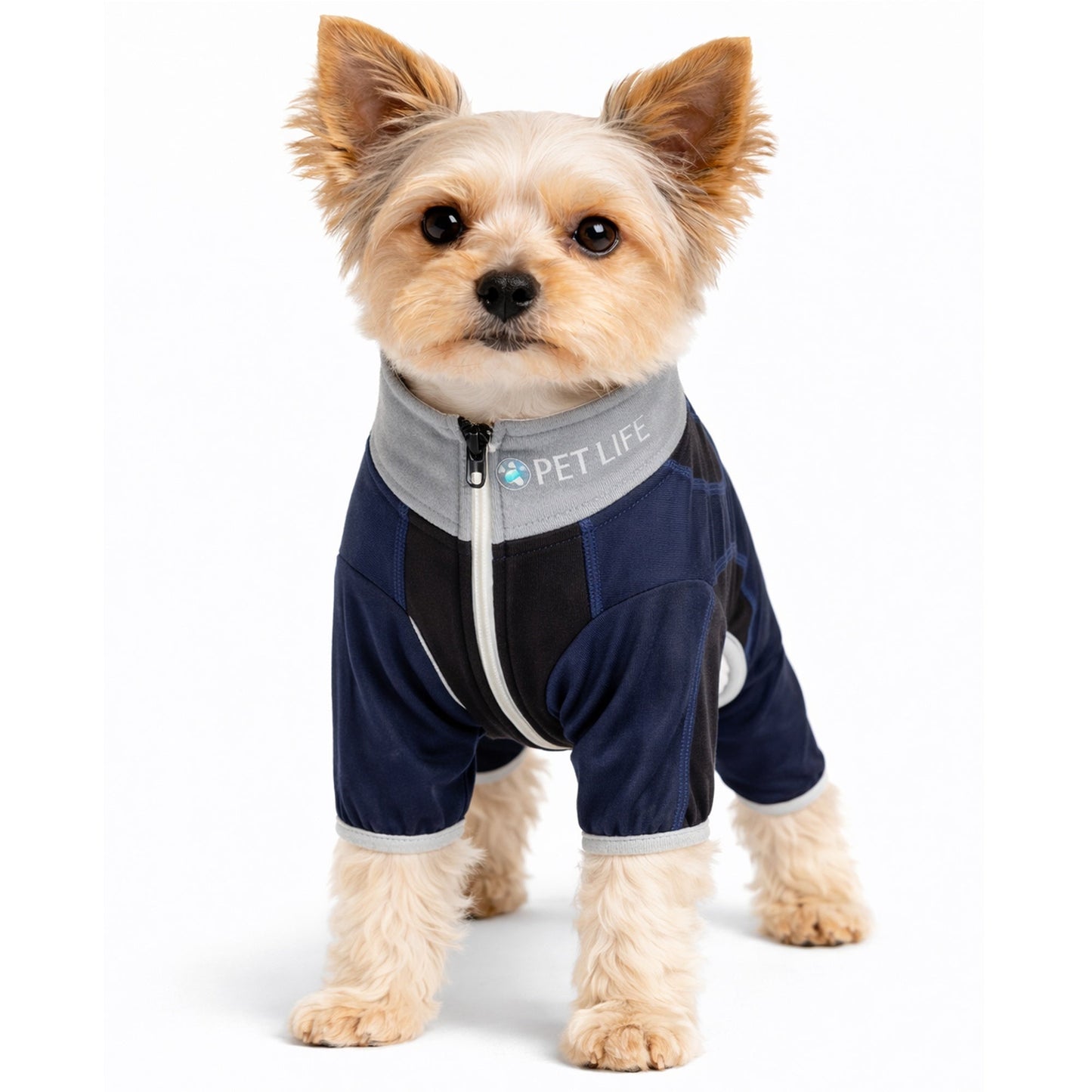 Pet Life ® Active 'Warm-Pup' Stretchy and Quick-Drying Fitness Dog Yoga Warm-Up Tracksuit
