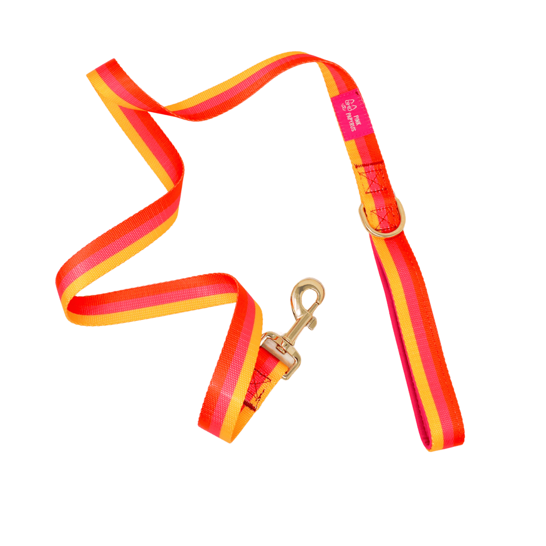 Zara Dog Leash