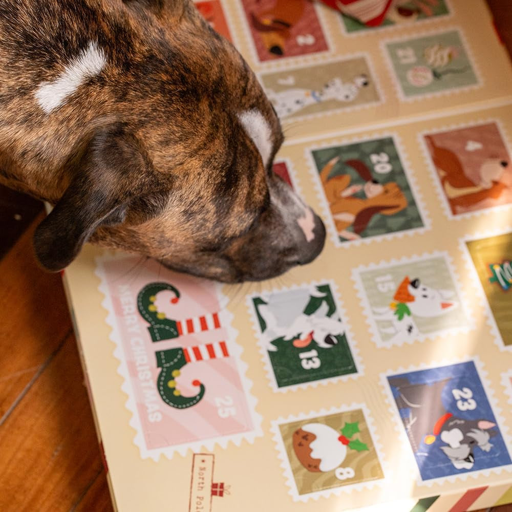 Disney Dog Advent Calendar – 25 Treats, 4 Holiday Flavors