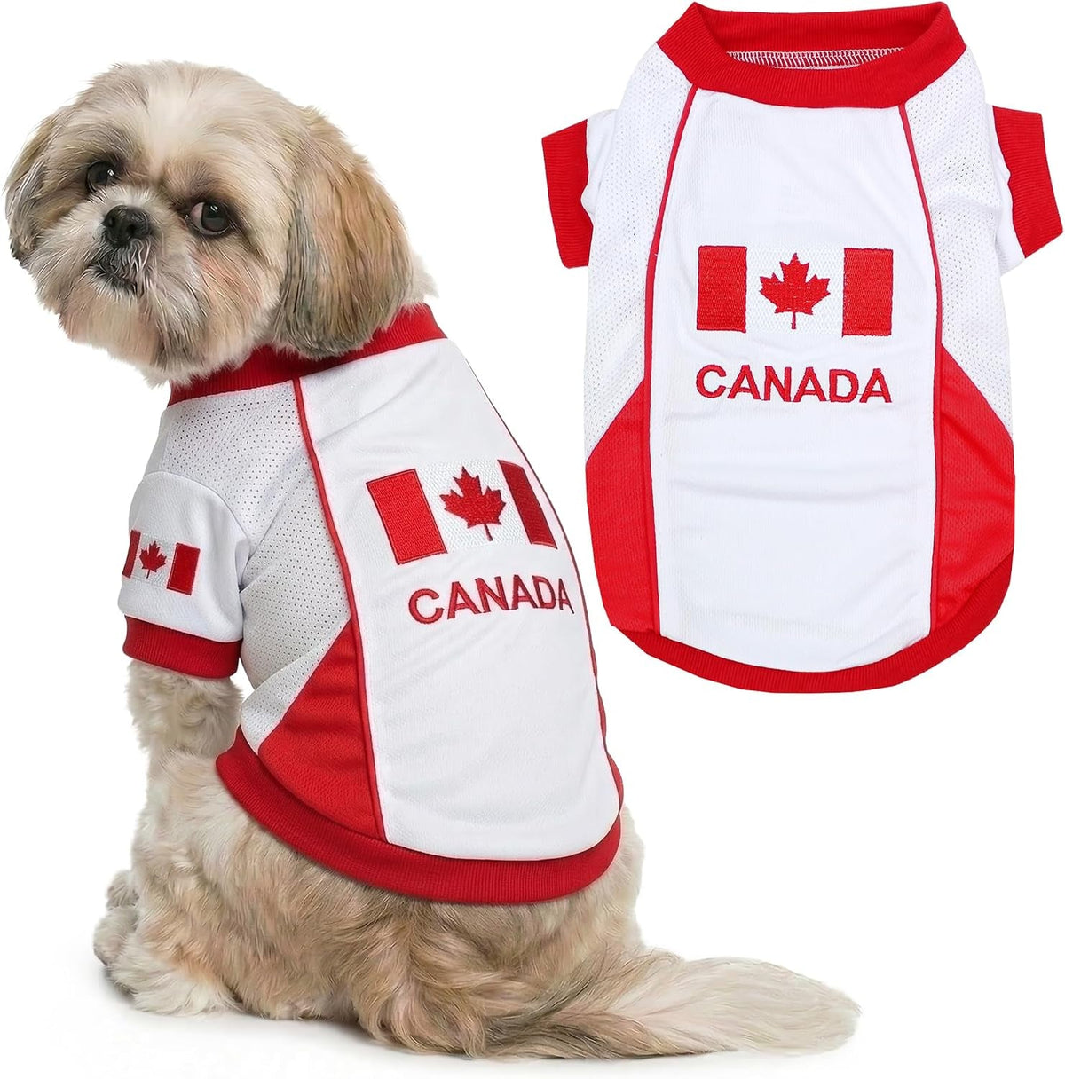 Parisian Pet Soccer Jersey for Dogs – Breathable Mesh Team Jersey, XS–5XL