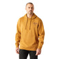 Ariat Mens Hoodie