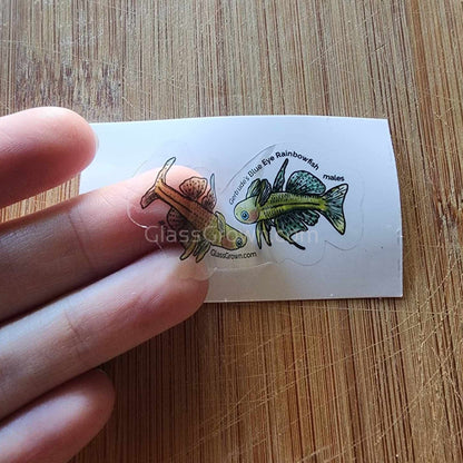 Pick your own nano fish sticker