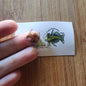 Pick your own nano fish sticker