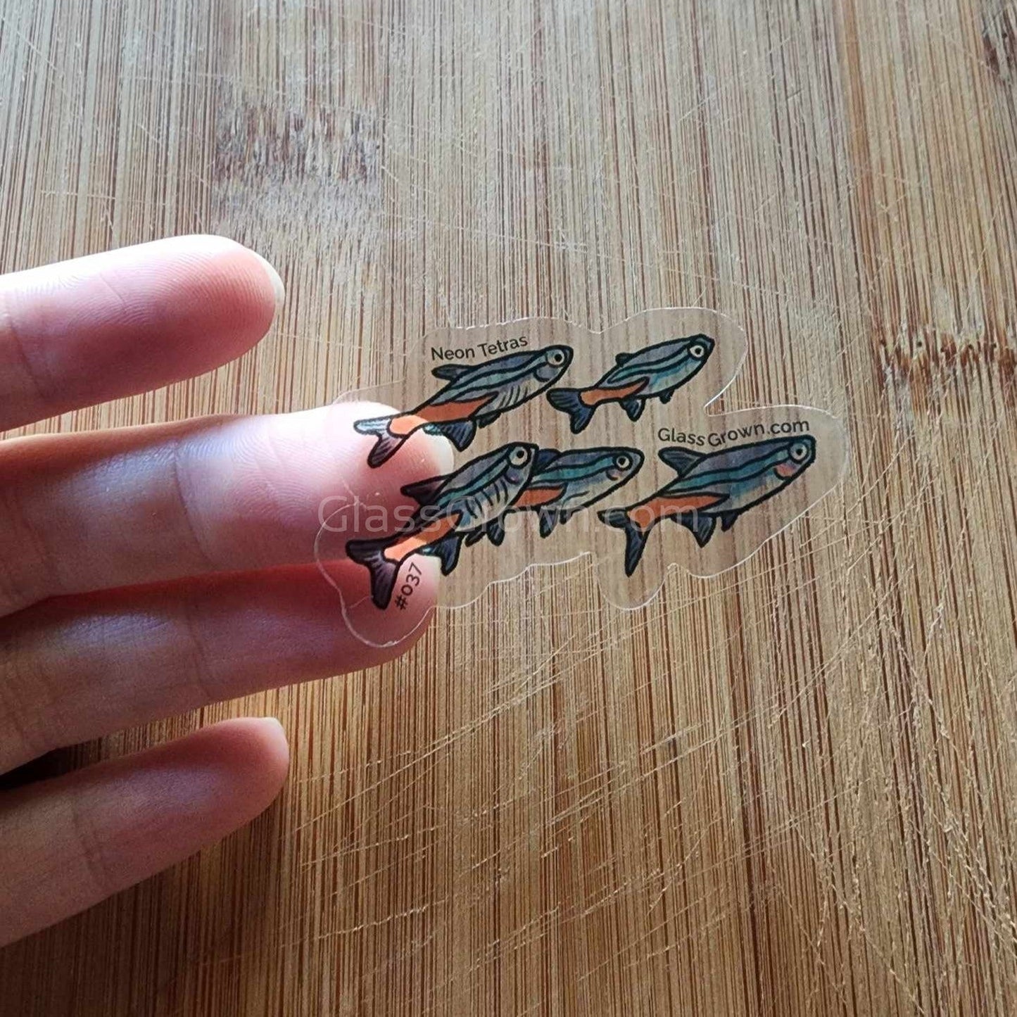 Mystery Nano Fish Stickers 5 pack