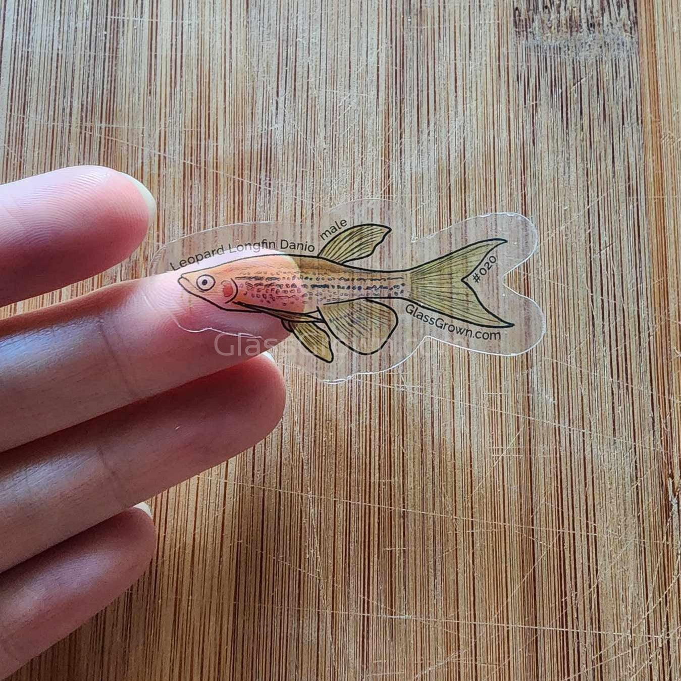 Mystery Nano Fish Stickers 5 pack