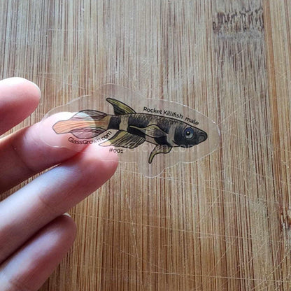 Mystery Nano Fish Stickers 5 pack