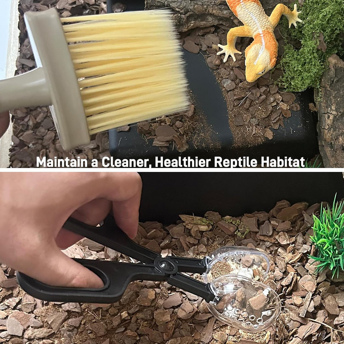 Reptile Habitat Cleaning Kit – 9-Piece Terrarium Tool Set