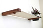 Cat Hammock Wall with Planter
