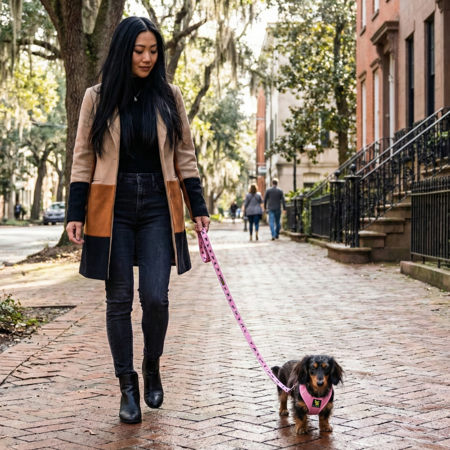 EcoBark Step In Dog Harness - XXXS to Medium Breeds- Reflective Soft Mesh Harness for Teacup, Small Dogs and Puppies / Baby Pink