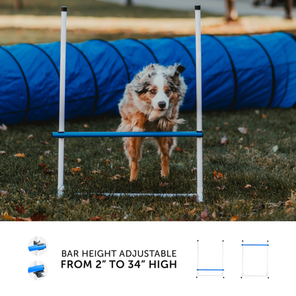 Better Sporting Dogs 5 Piece Dog Agility Equipment Set –  with Jumps, Tunnel, Pause Box & Weave Poles