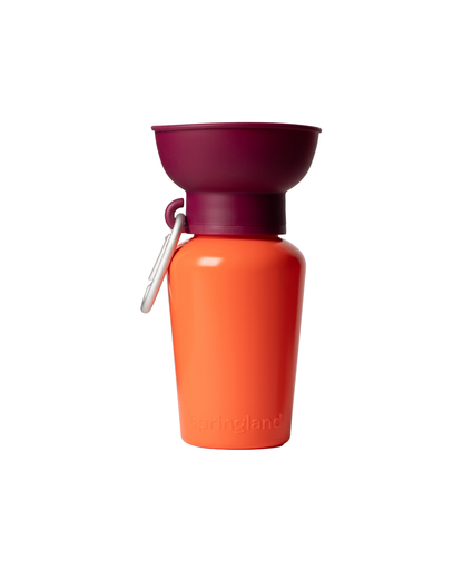 20oz Flip Dog Travel Water Bottle