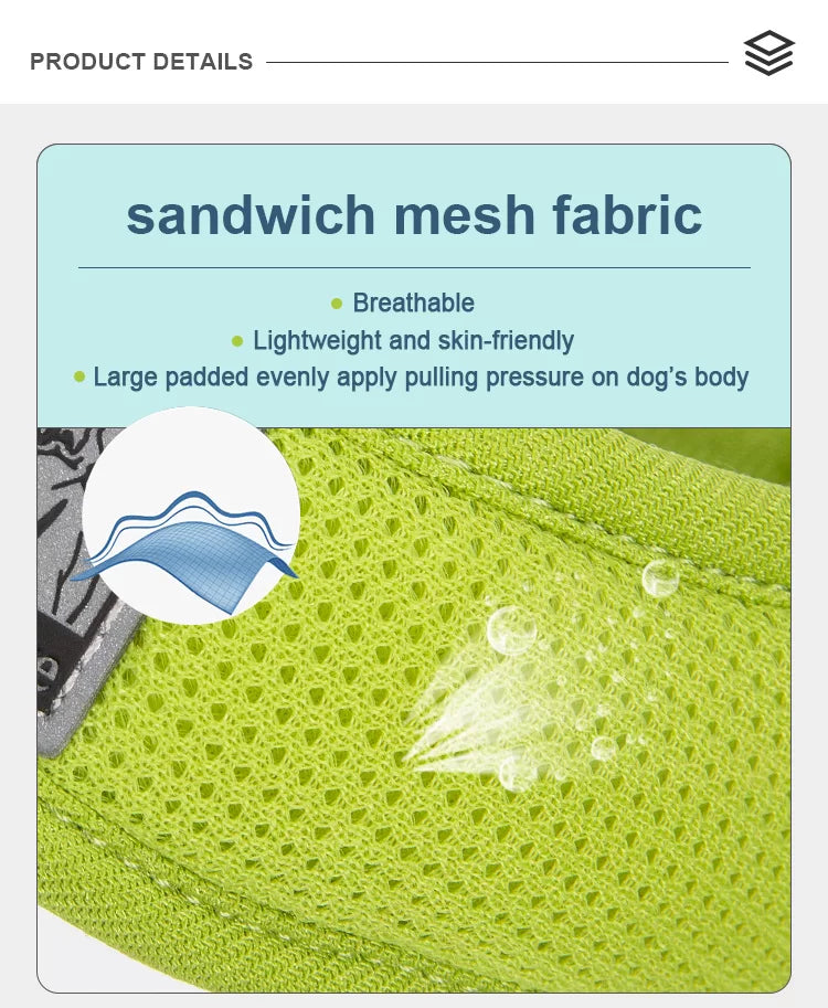 TrueLove Mesh Dog Harness - Soft Breathable No-Pull Harness for Small Dogs - Red (TLH3013)