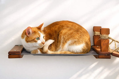 Double Cat Hammock and Climbing Bridge Combo