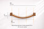 Cat Bridge for Wall