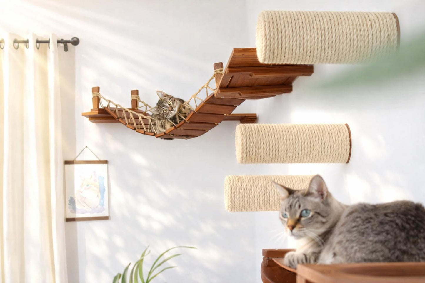 Corner Cat Shelf Bridge