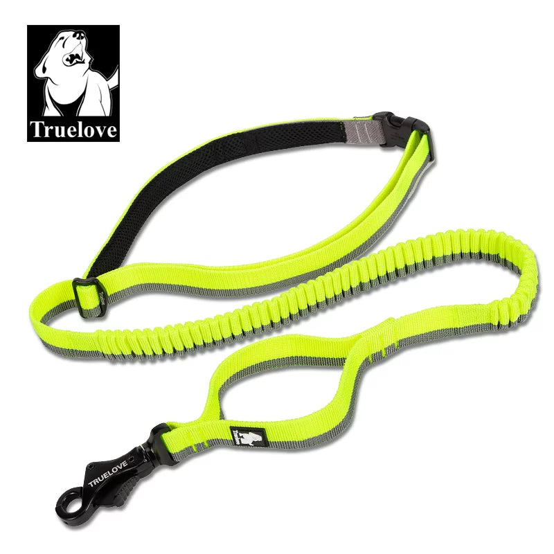 TrueLove Nylon Bungee Dog Leash TLL2271