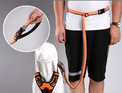 TrueLove Nylon Bungee Dog Leash TLL2271