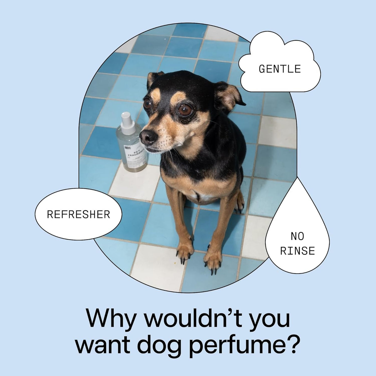 DedCool Luxury Dog Grooming Bundle – Shampoo & Fragrance Mist