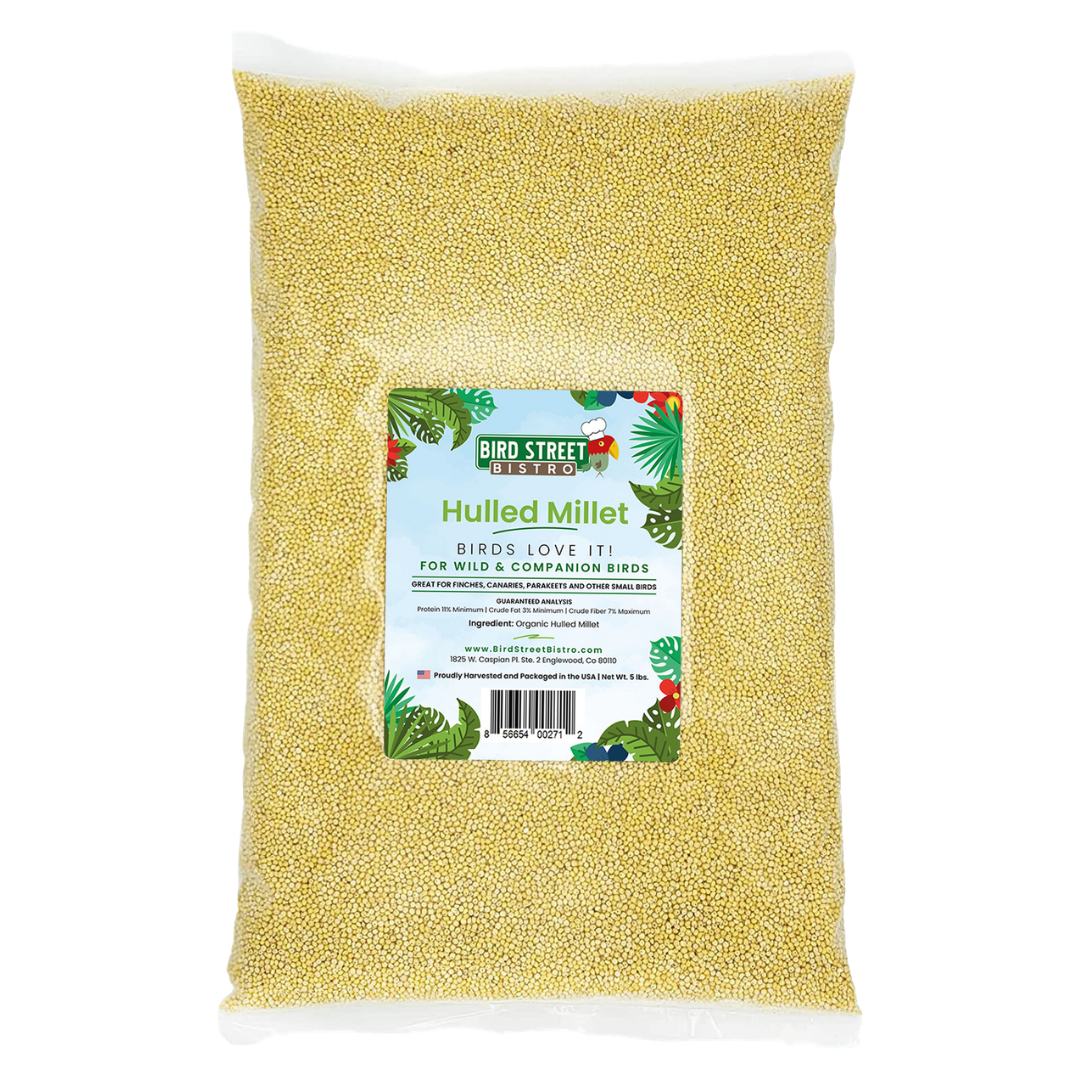 Hulled Millet - 5 lbs