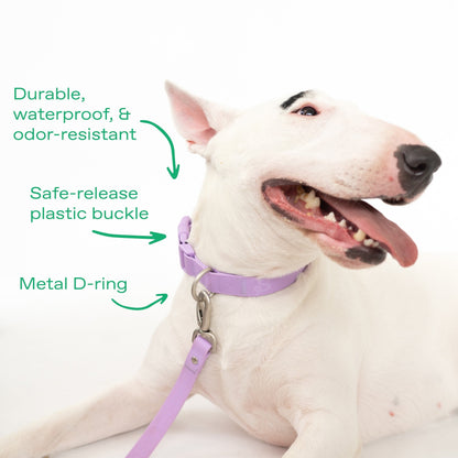 Original Waterproof Dog Collar