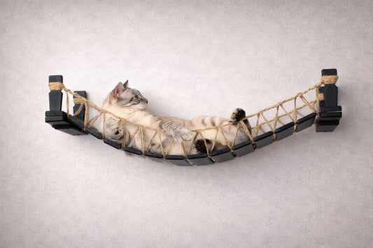 Cat Bridge for Wall