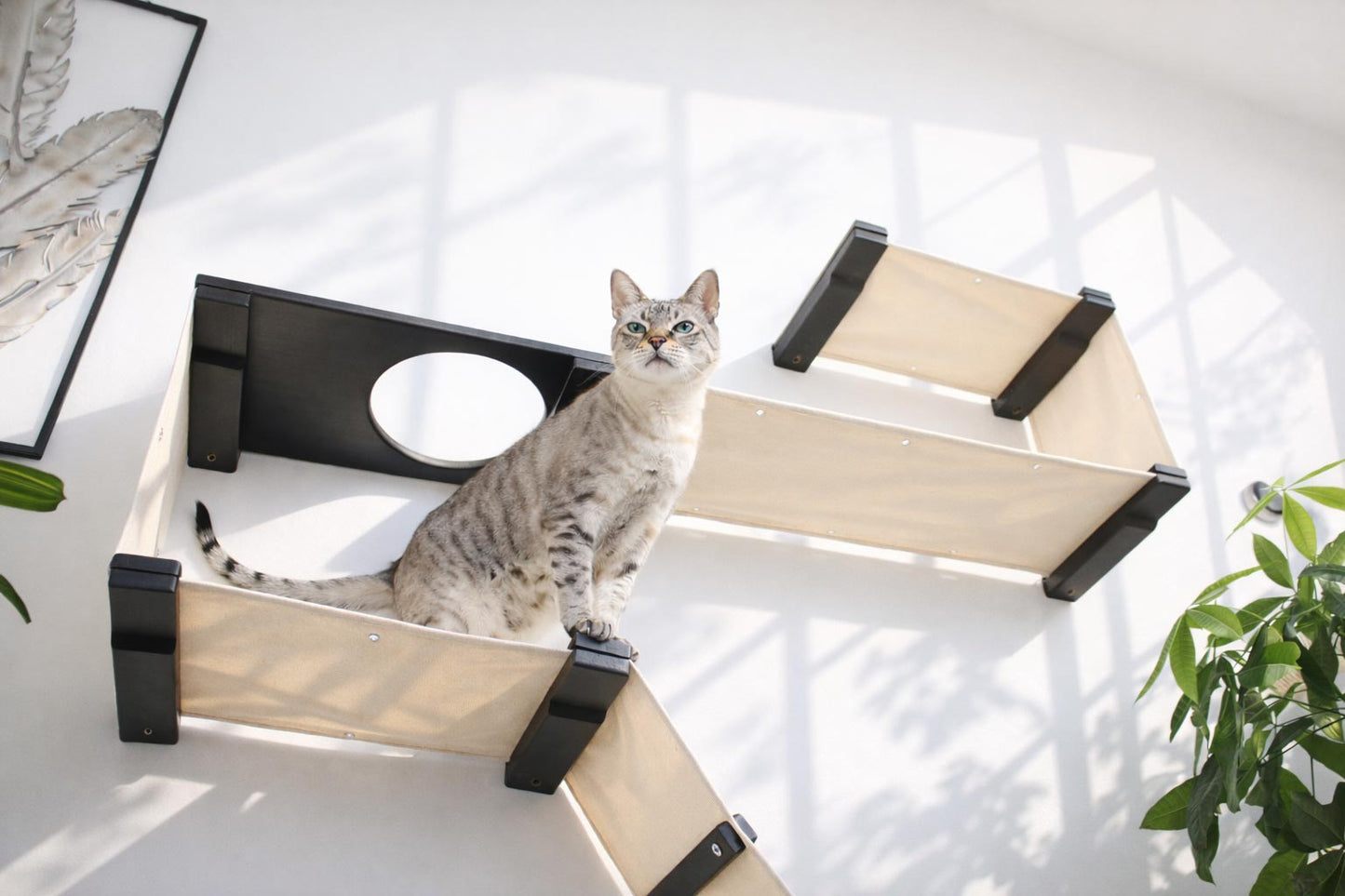 The Play - A Cat Play Wall System