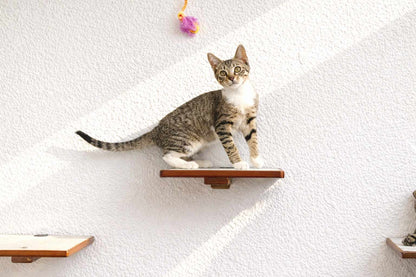 Cat Perch - Wall Mounted and Wooden