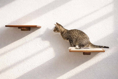 Cat Perch - Wall Mounted and Wooden