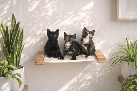 Hanging Cat Bed Hammock