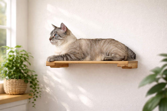 Wall Mounted Cat Shelf