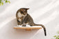 Cat Perch - Wall Mounted and Wooden