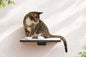 Cat Perch - Wall Mounted and Wooden
