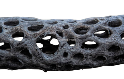 Organic Cholla Wood Logs