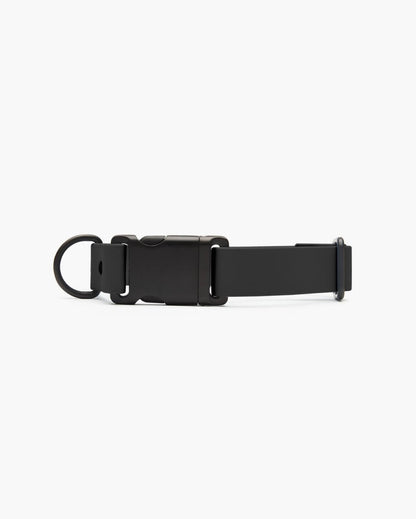 Signature Collar