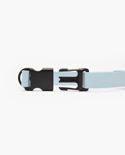 Signature Collar