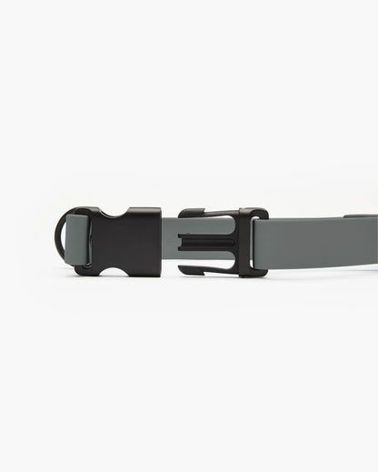 Signature Collar